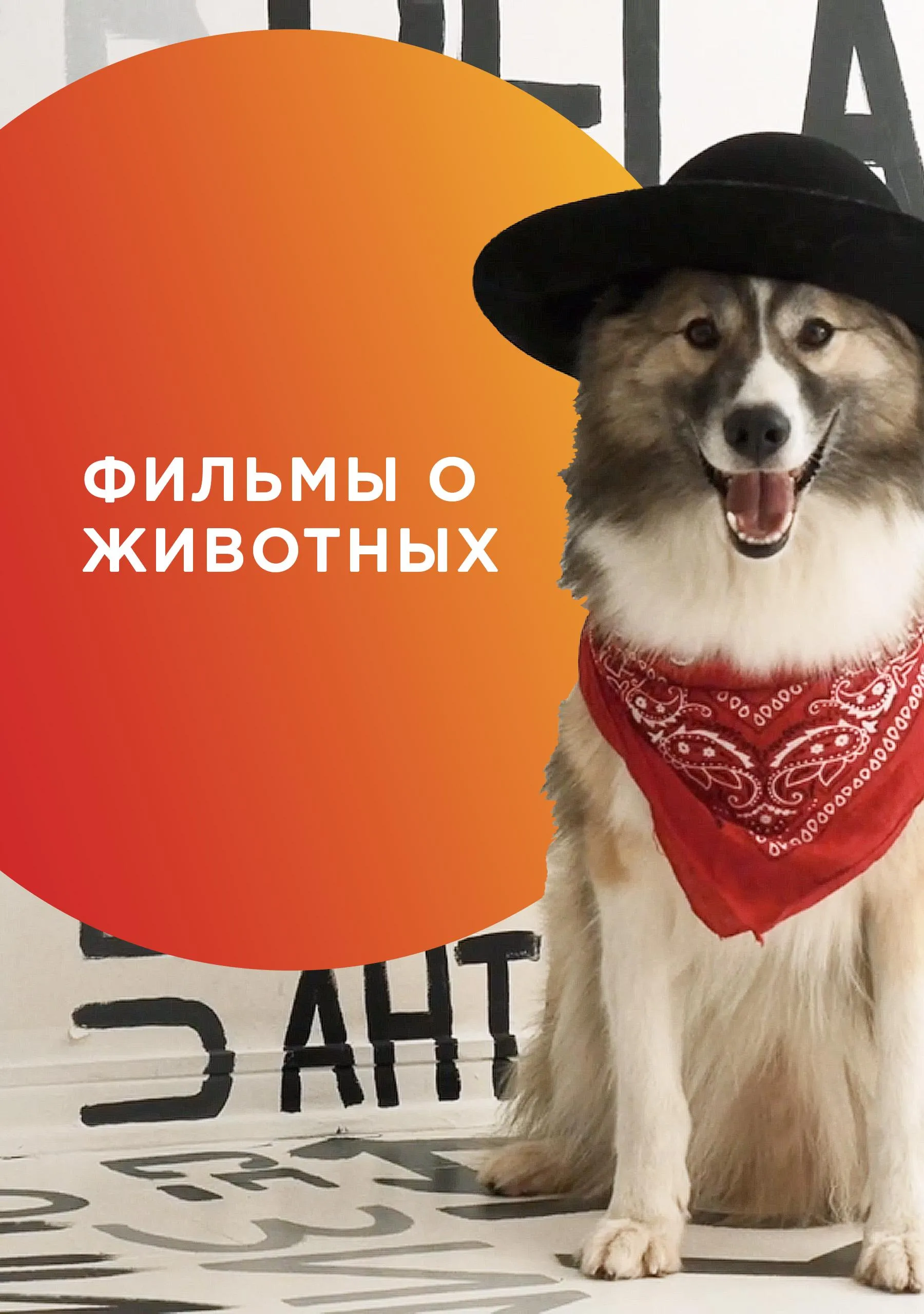 Жетілген мама қос ену порно